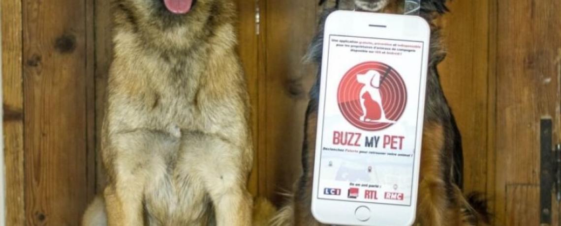 Buzz My Pet : l'application mobile pour les chiens et chats perdus