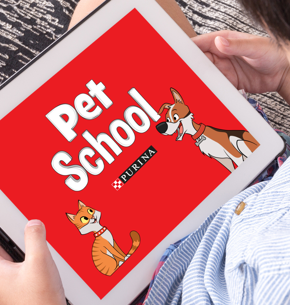 Pet school
