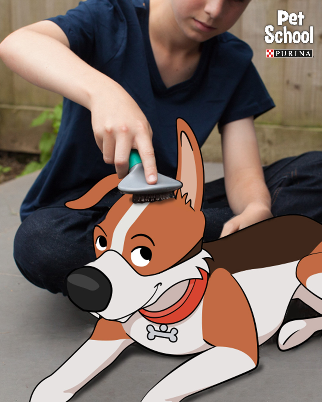pet school