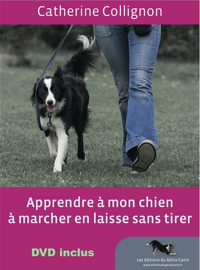 marcher en laisse sans tirer