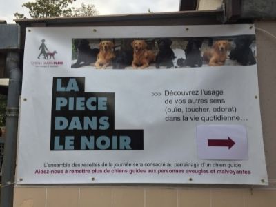 chiens guide Fidanimo