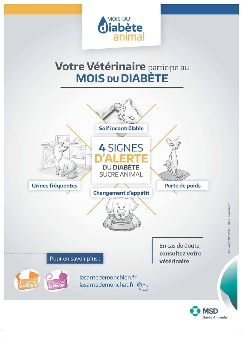 affiche-mois-diabete-animal-msd-sante-animale.jpg