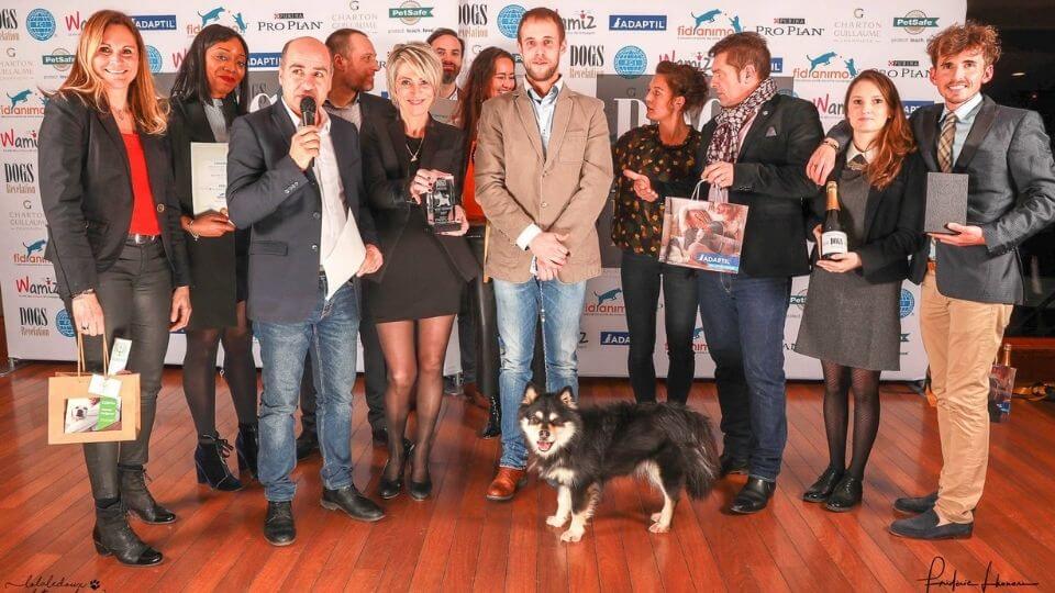  dogs-revelation-awards-2018-arvelasuomen.jpg 