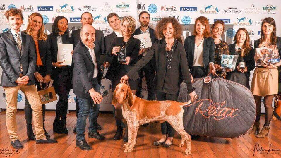 dogs-revelation-awards-2018-elevage-des-guerriers-dargent-dante.jpg