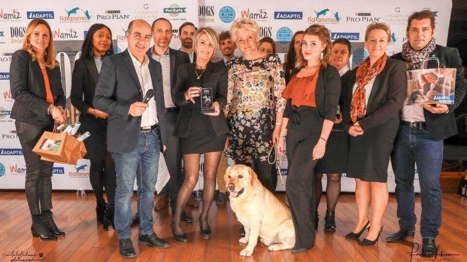 dogs-revelation-awards-2018-labrador-du-petit-vey.jpg