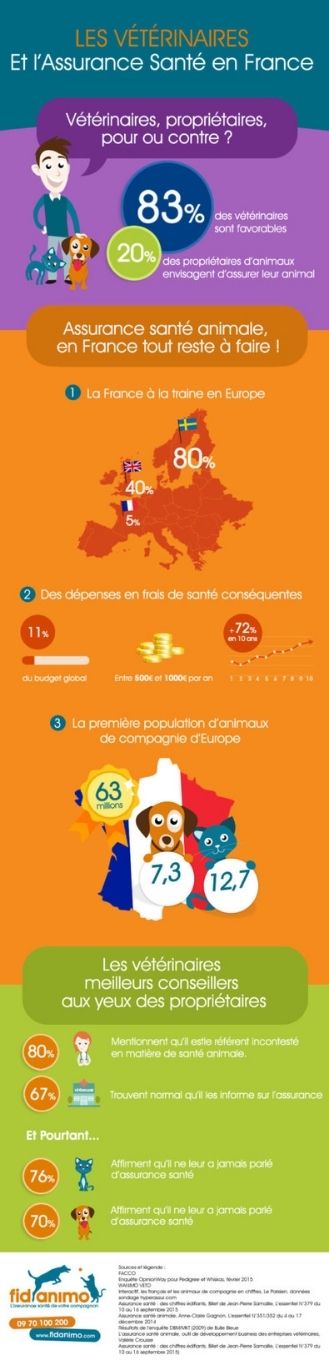 infographie