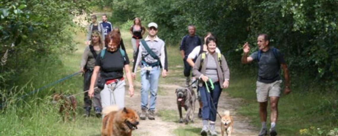 Des vacances qui ont du chien