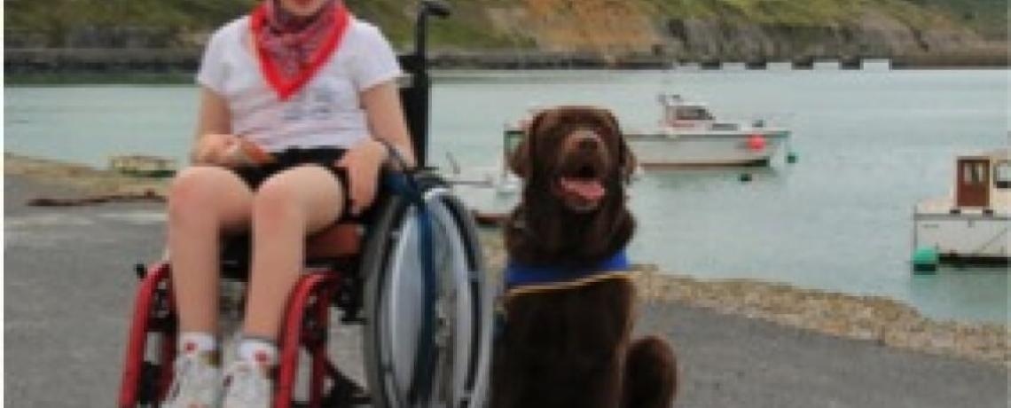 Handi’Chiens et personnes en situation de handicap : le duo gagnant