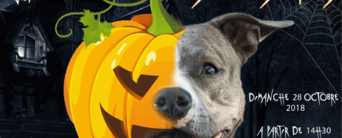La balade d'Halloween des Gueules d'Anges