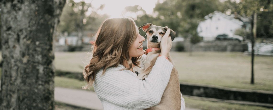 Choisir un chien au caractère affectueux