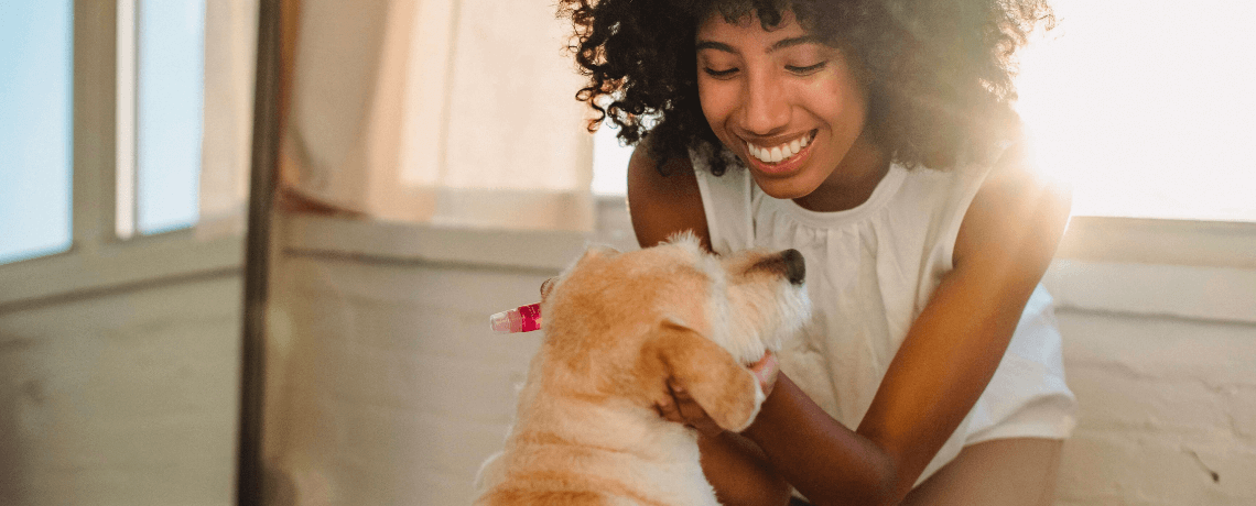 Quelles sont les races de chien adaptées à la vie en appartement ?