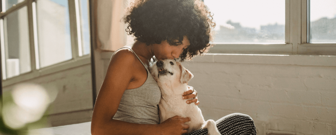 Reconnaître un problème cardiaque chez le chien et l'aider au quotidien