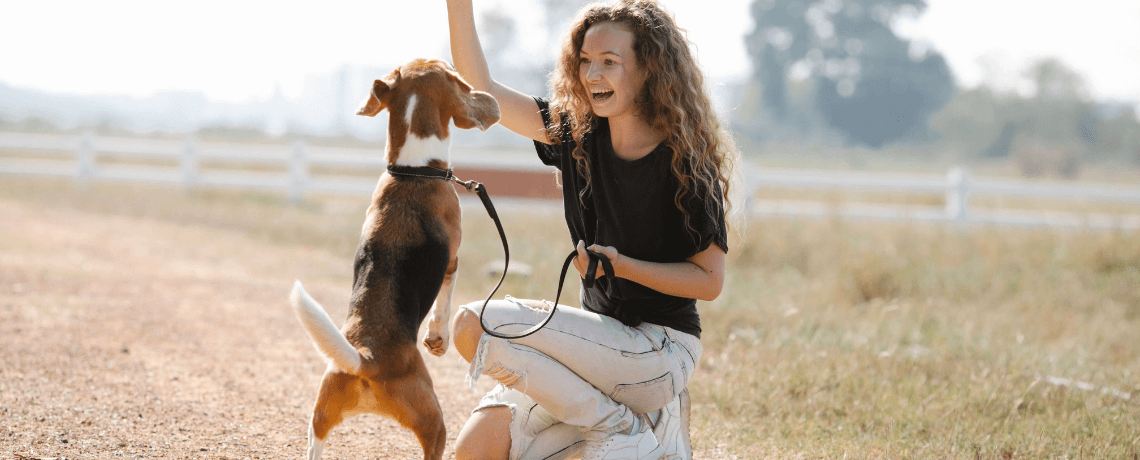 Adopter un chien obéissant : tout ce qu'il faut savoir
