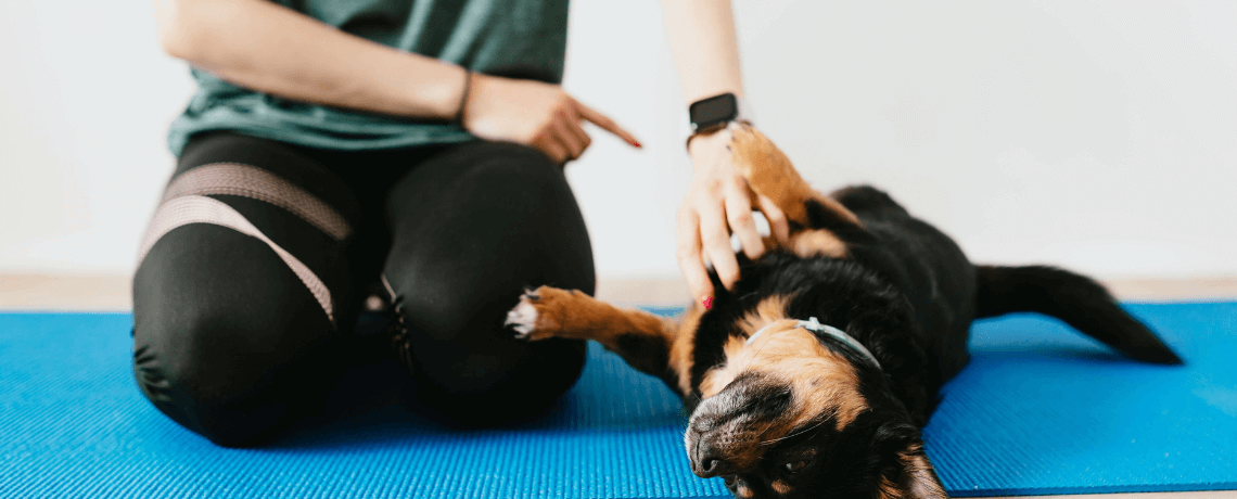 Hyperattachement du chien : comment réagir ?