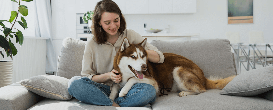 Lutter efficacement contre les maladies parasitaires du chien