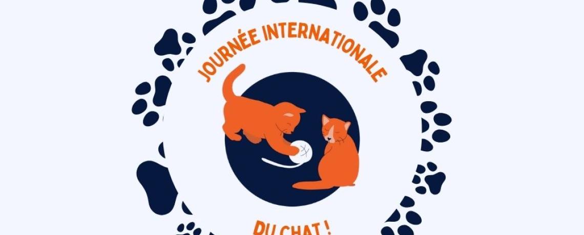 Quelles sont les races de chien adaptées à la vie en appartement ?