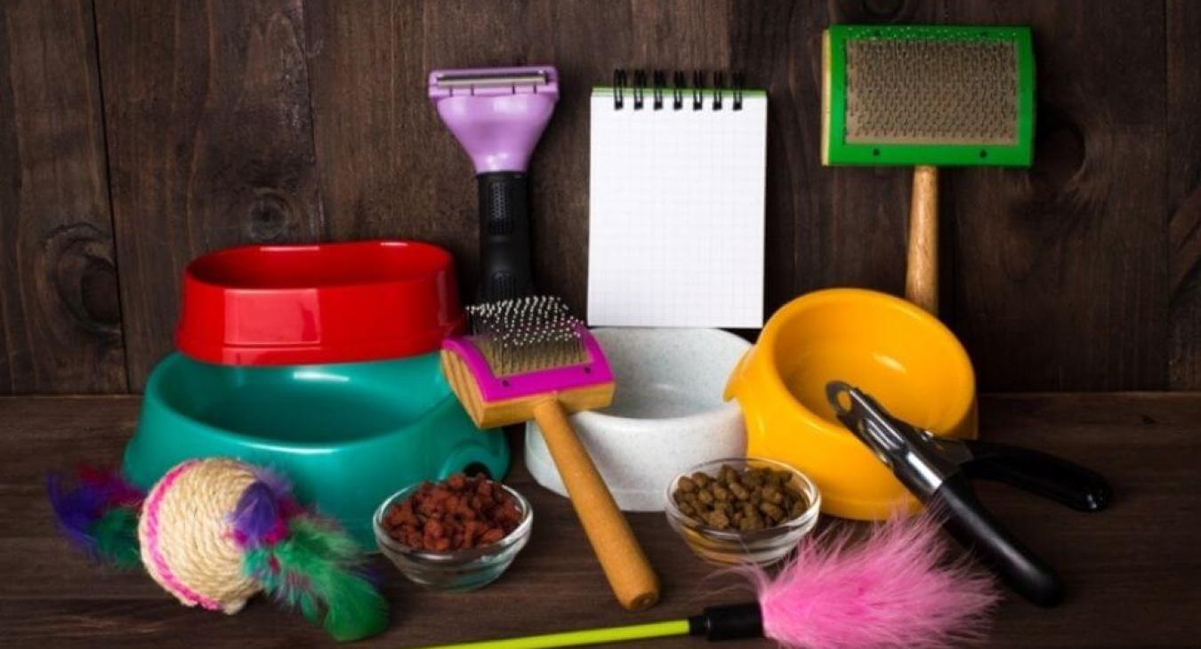 Accessoires indispensables pour l'accueil d'un chiot ou d'un chaton