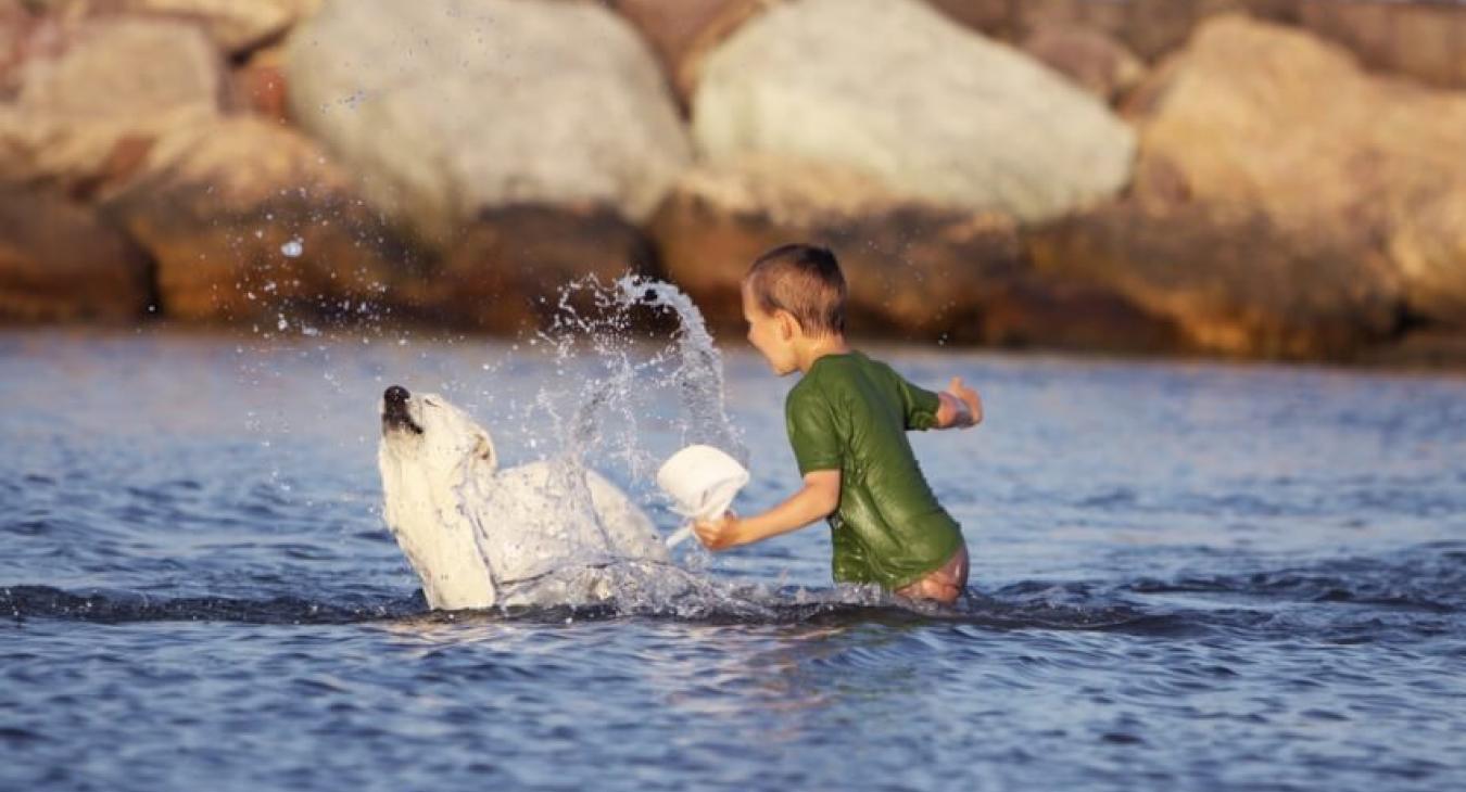 Mon animal est-il couvert à l'étranger ?