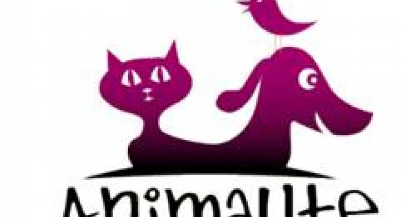 Animaute : le spécialiste de la garde d'animaux