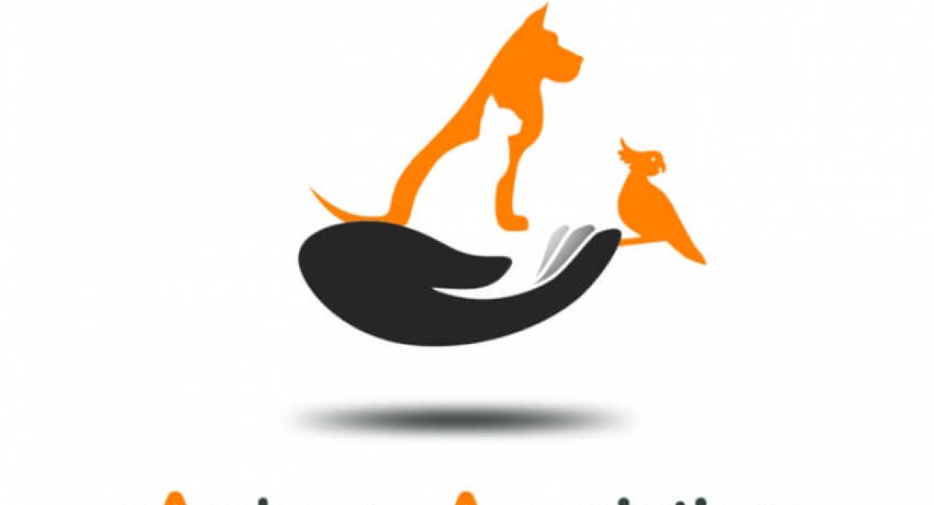 L'arche des associations