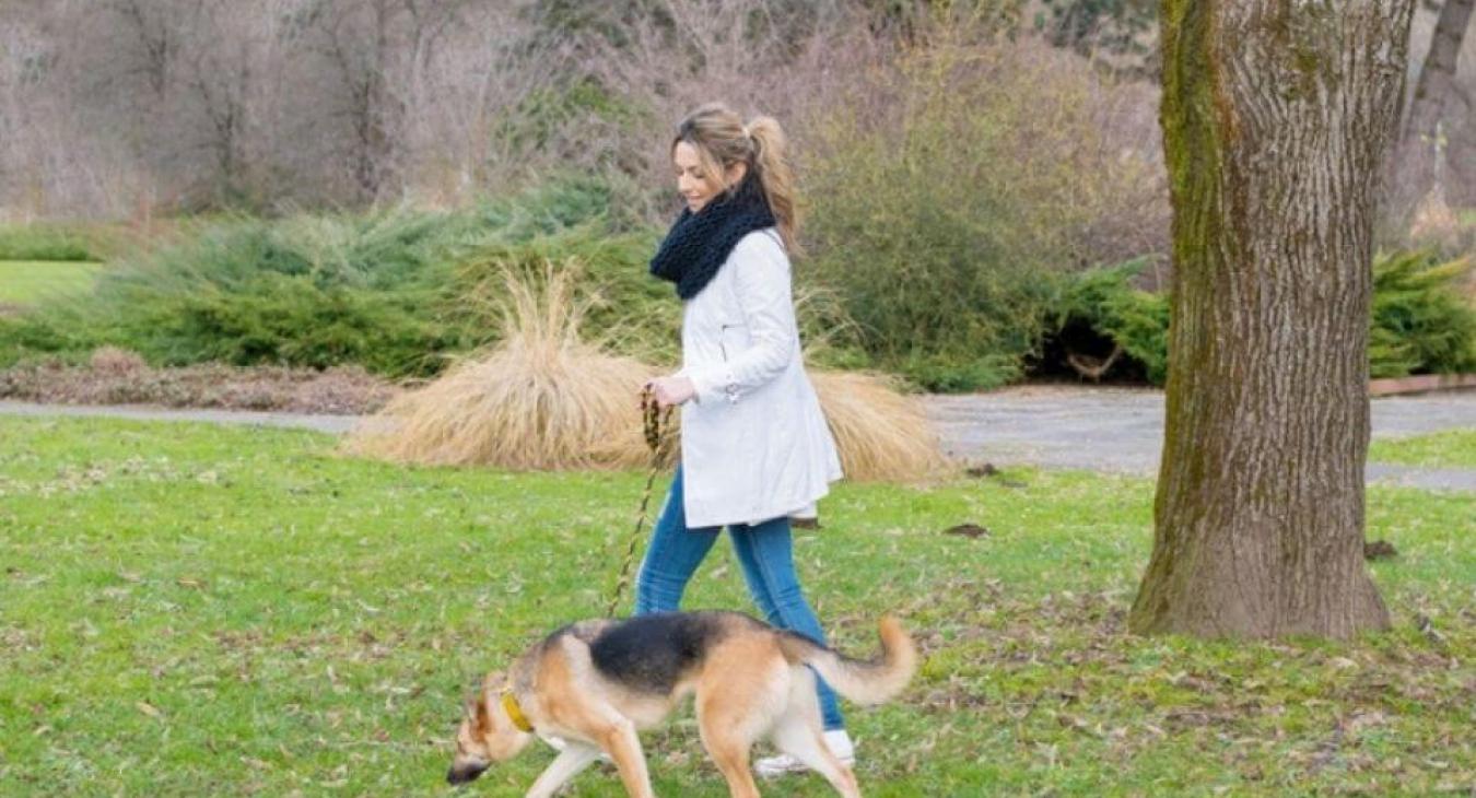 Quels sont les bons gestes pour une promenade réussie ?