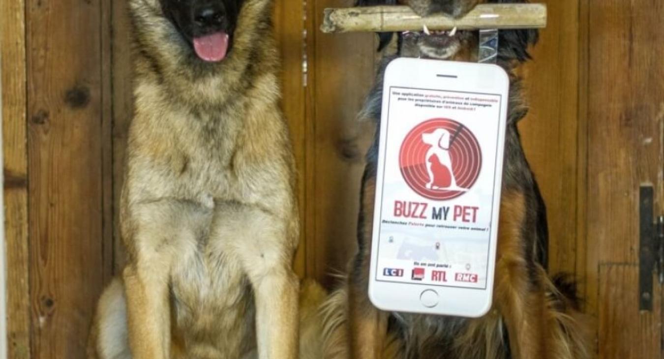Buzz My Pet : l'application mobile pour les chiens et chats perdus