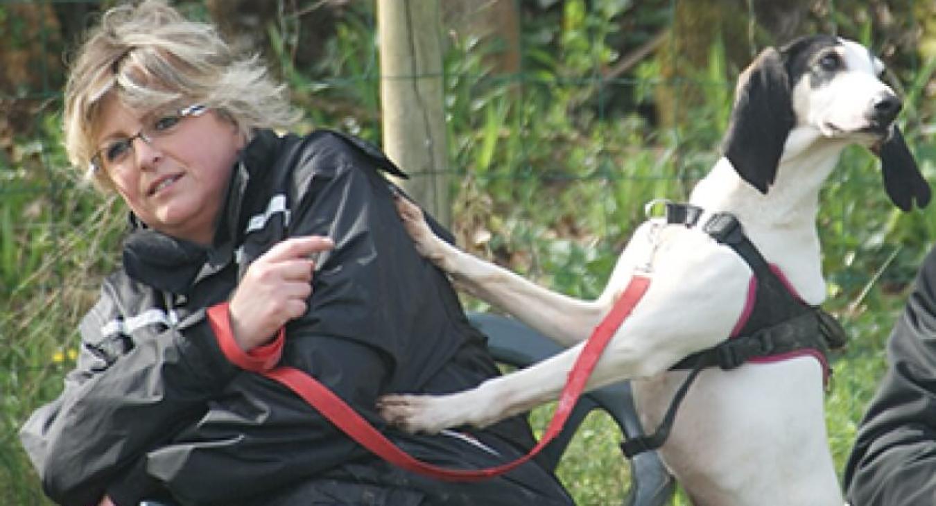Mon chien est un « gentil emmerdeur » : le rôle de la récompense dans son éducation