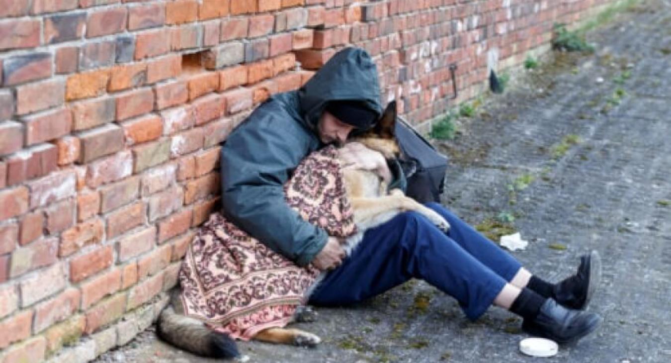 Le chien et l'intégration sociale : un lien fort entre les sans domicile fixe et leur animaux