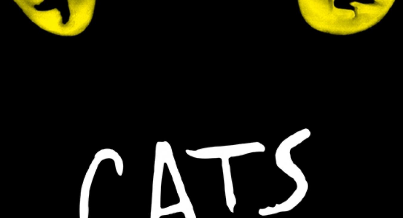 Cats : Un spectacle qui met nos félins à l’honneur ! 