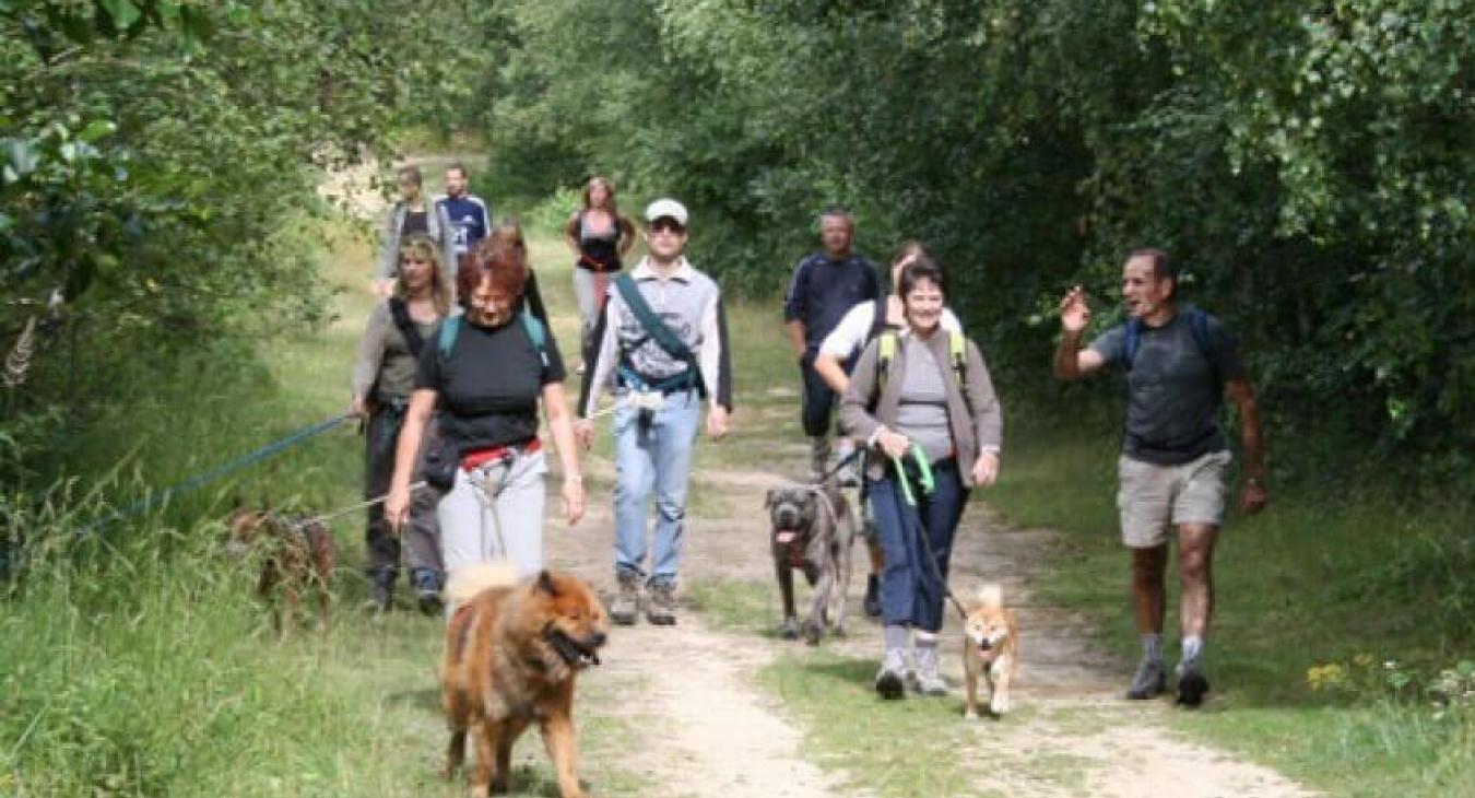 Des vacances qui ont du chien