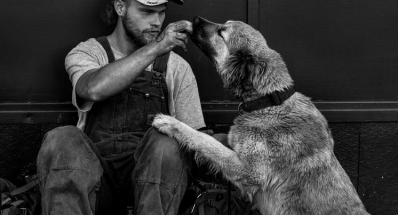 Gamelles pleines : aider l’animal pour aider l’homme