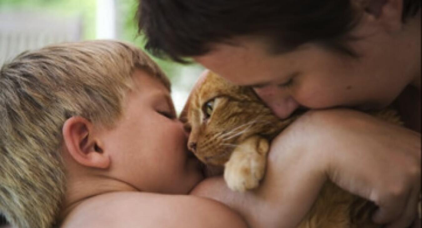 Nettoyer les yeux du chat
