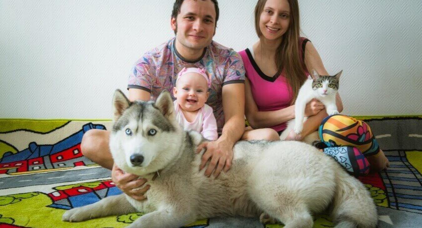 La place des animaux dans la famille 