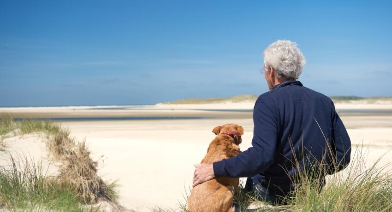Prévoir les vacances avec mon chien