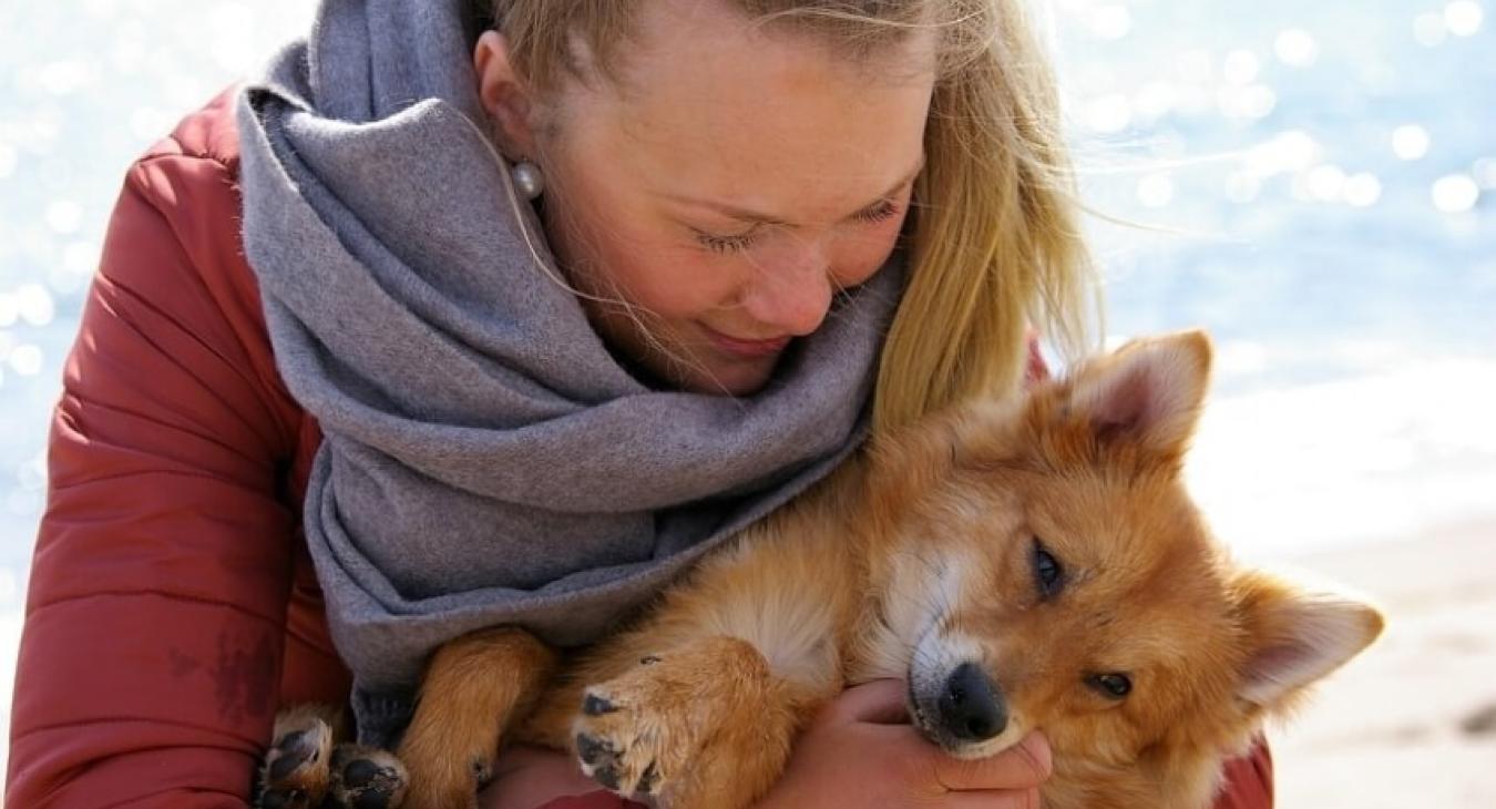 Quels sont les devoirs d'un propriétaire de chien ou chat ?