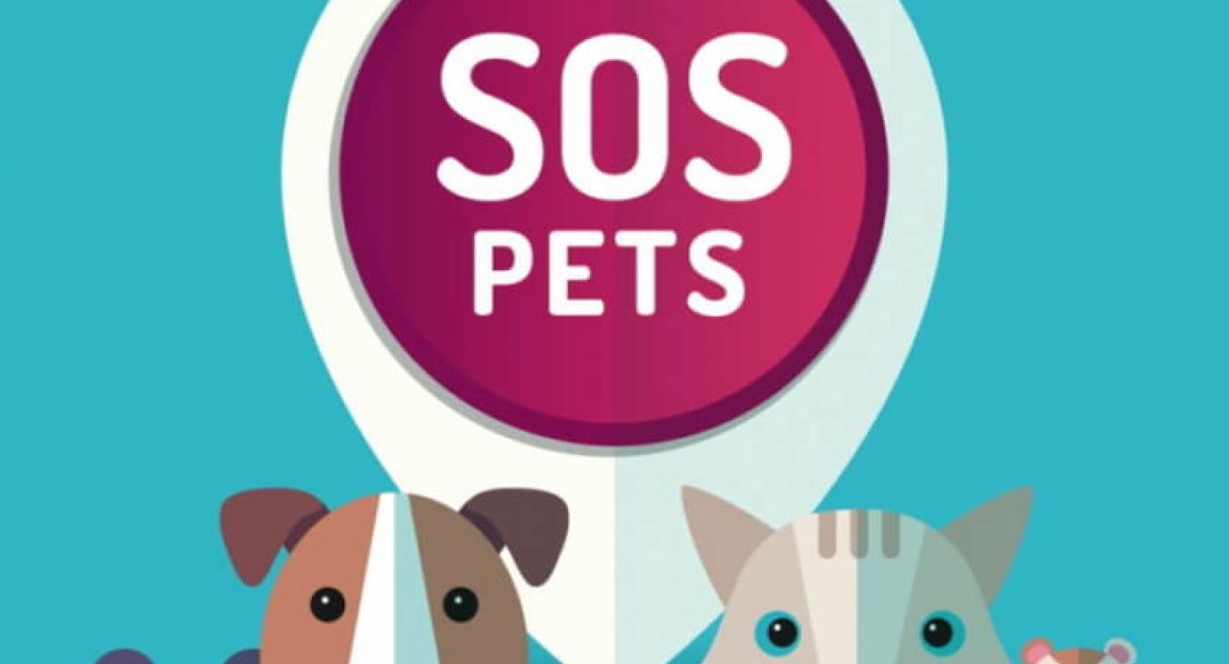 SOS Pets : l’application pour gérer l’urgence médicale de votre animal