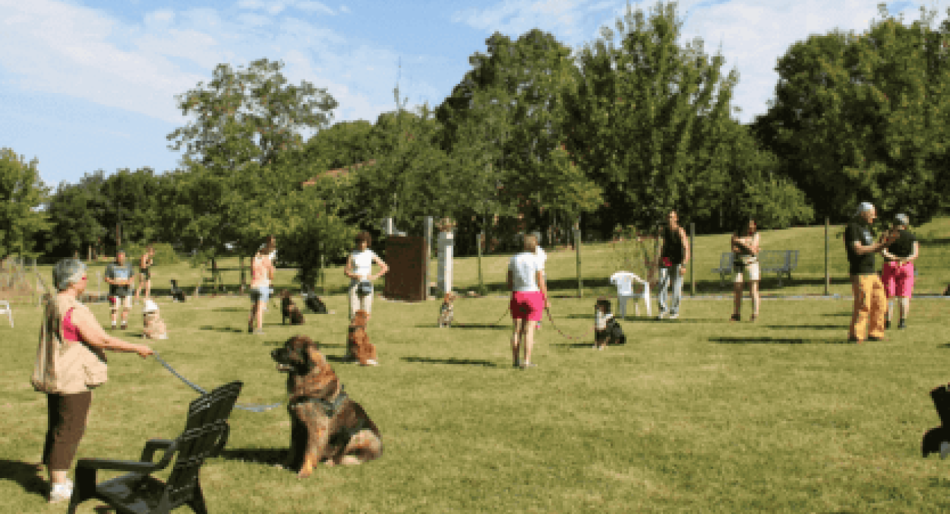 Camp d'été Animalin 2018
