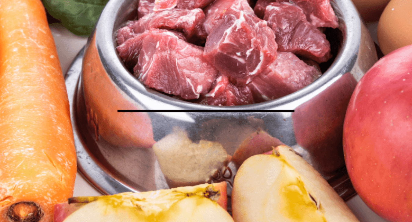 Qu’est-ce que le Raw Feeding pour chien ?