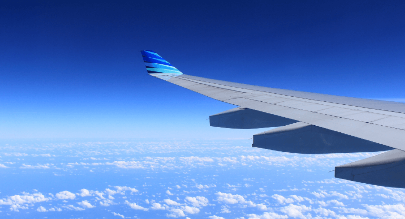 Voyager en avion avec un chien : quelles sont les précautions à prendre ?