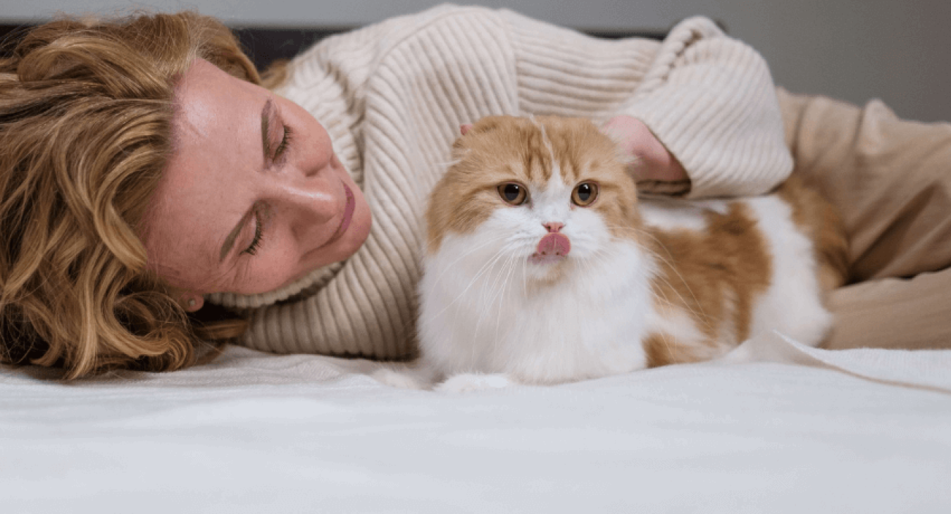 Chat qui bave : faut-il s’inquiéter ?
