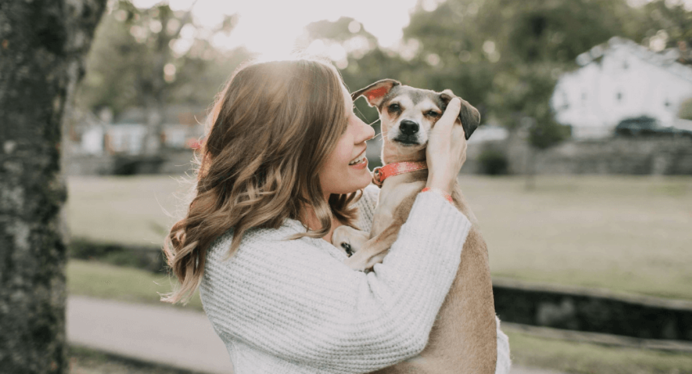 Choisir un chien au caractère affectueux