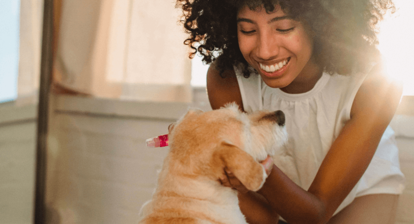 Quelles sont les races de chien adaptées à la vie en appartement ?