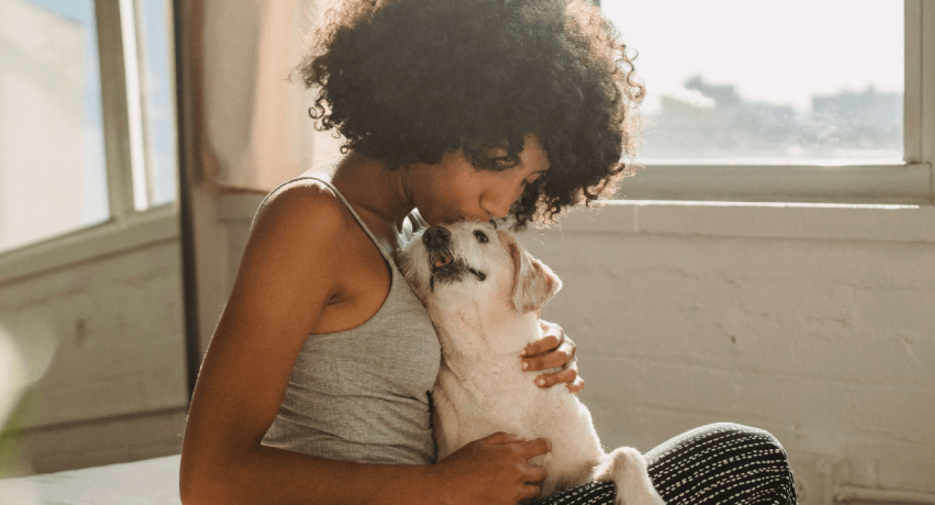 Reconnaître un problème cardiaque chez le chien et l'aider au quotidien