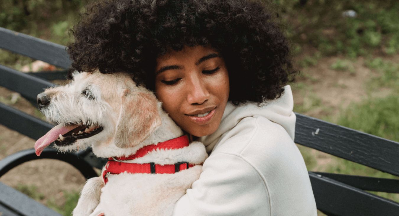 Comment choisir un chien sociable ?