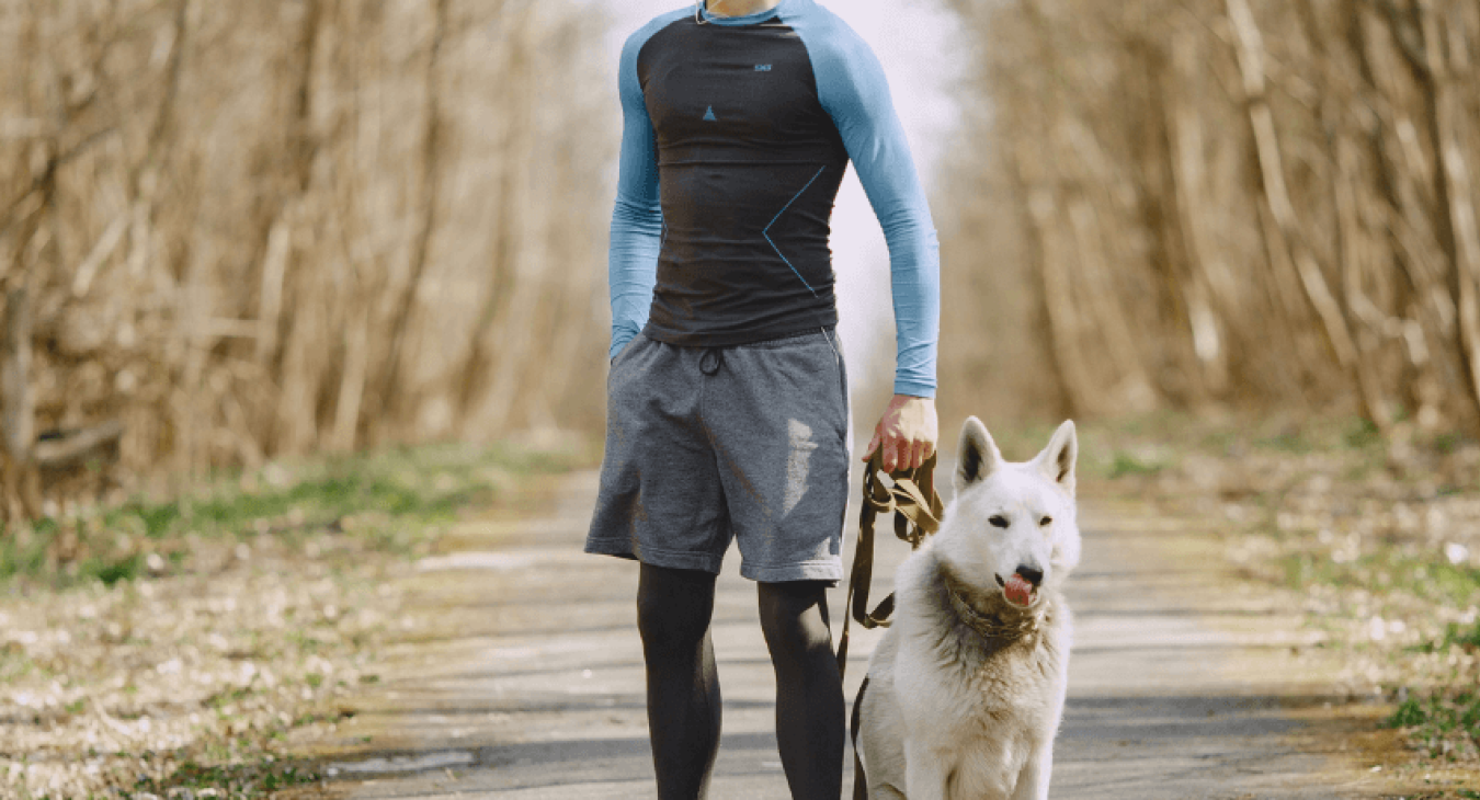 Adopter le chien sportif qui vous convient