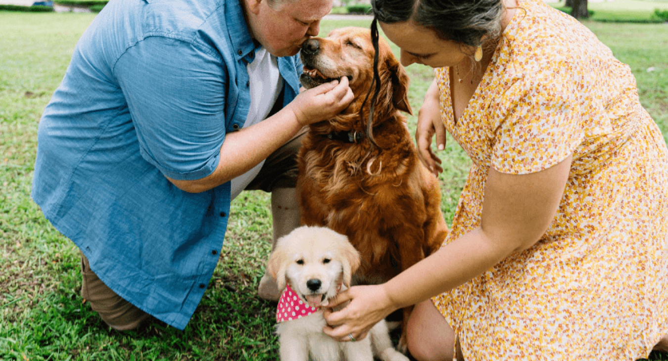 Comment accueillir un chiot au sein d’une famille déjà constituée ?