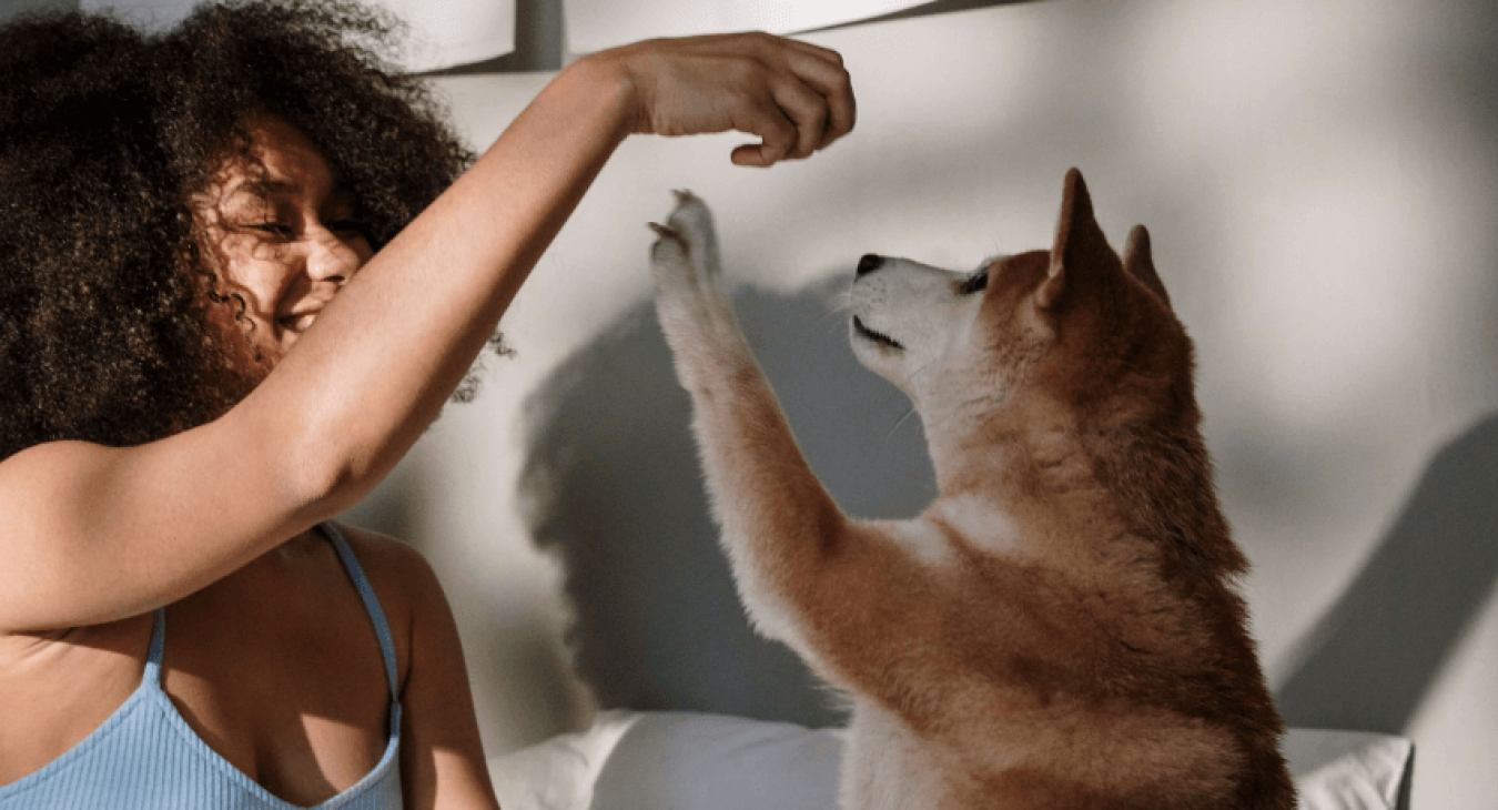 Comment choisir le chien qui nous correspond ?