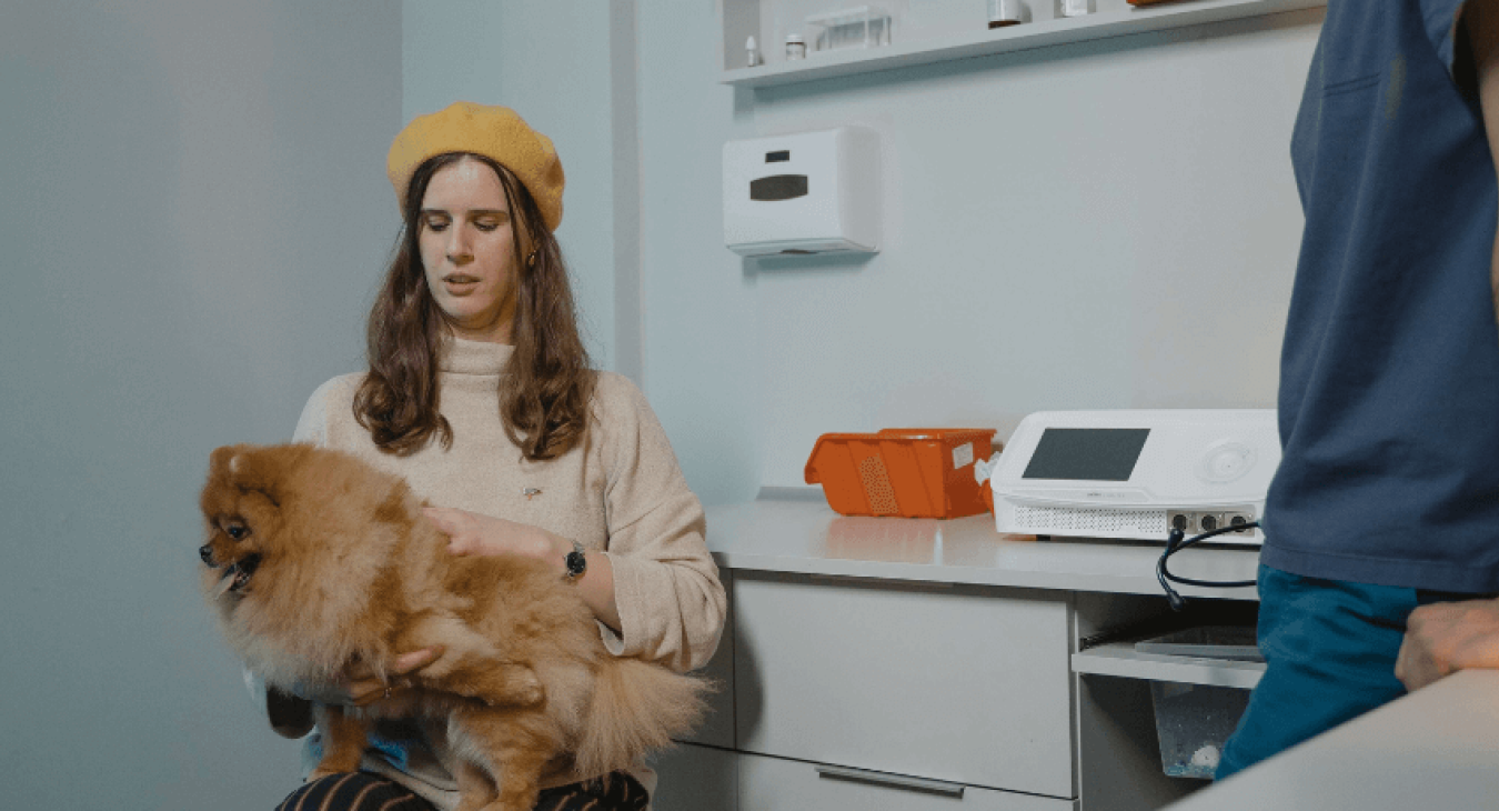 Diabète : comment savoir si votre chien en souffre et comment le soigner ?