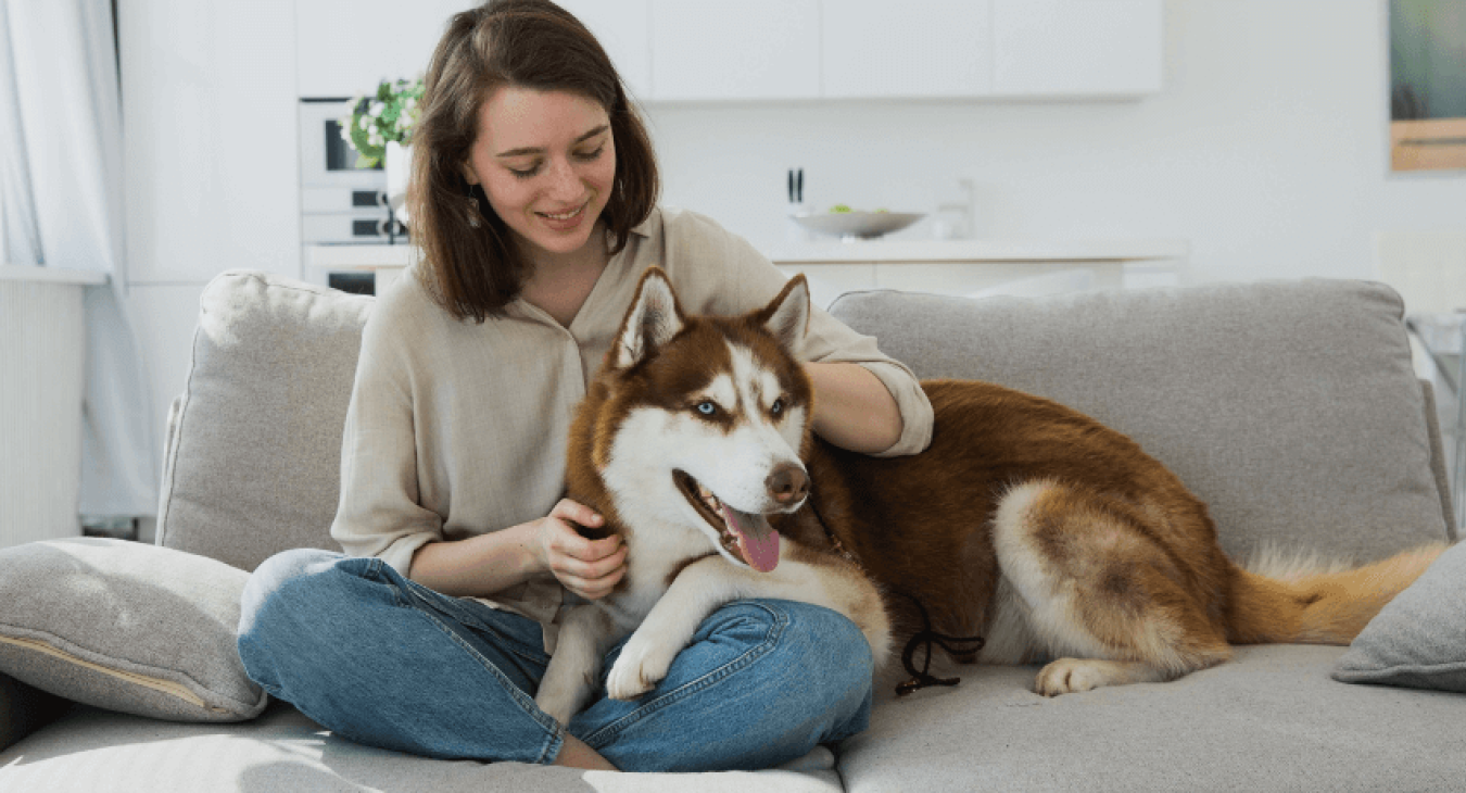 Lutter efficacement contre les maladies parasitaires du chien