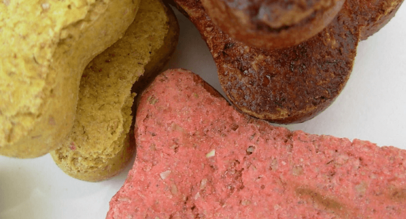 Quelle alimentation pour mon chien senior ?